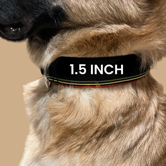 Cannabis Dog Collar - Picture 6 of 8